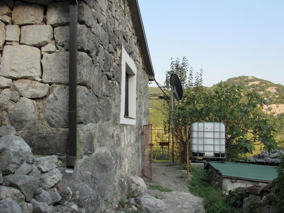 Day, Garden, Garden view