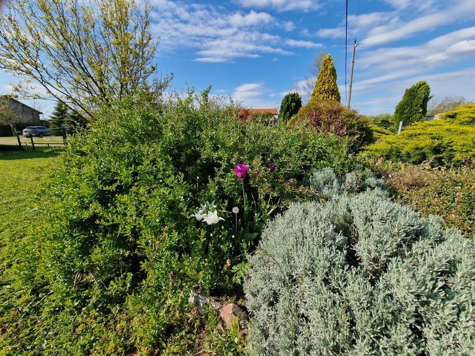 Garden, Garden view