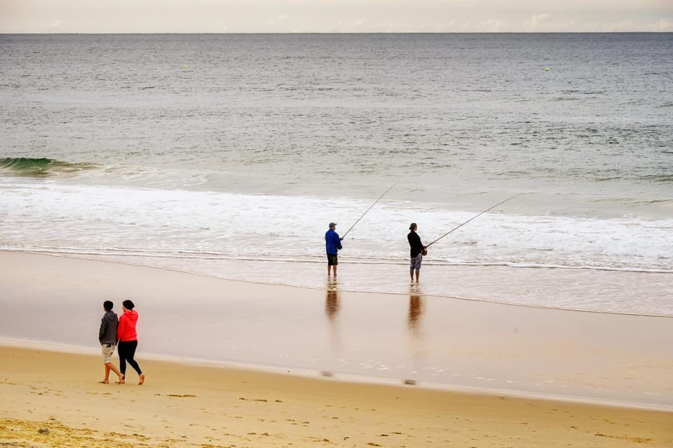 Day, People, Beach, group of guests