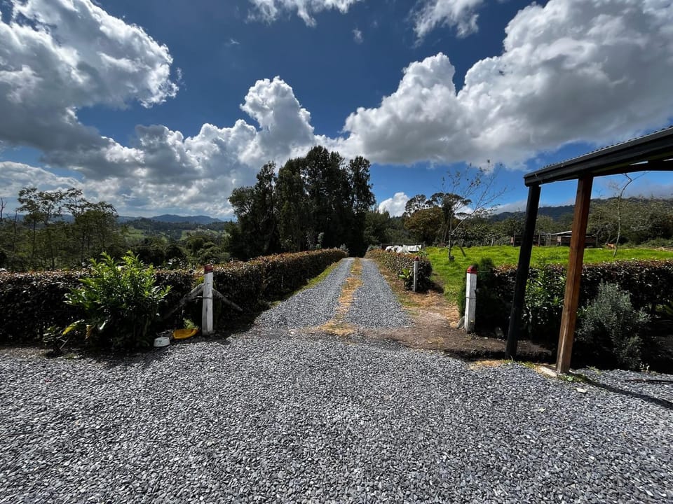 Day, Natural landscape, Garden, Garden view