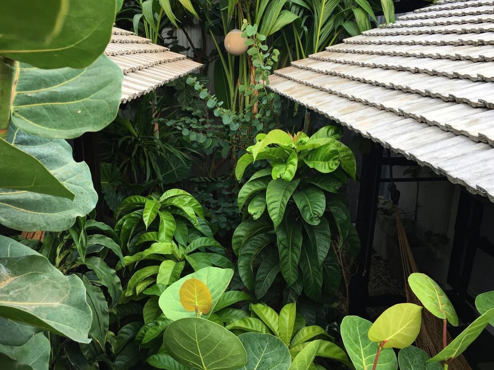Garden view