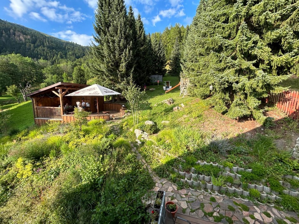 Day, Summer, Garden, Garden
