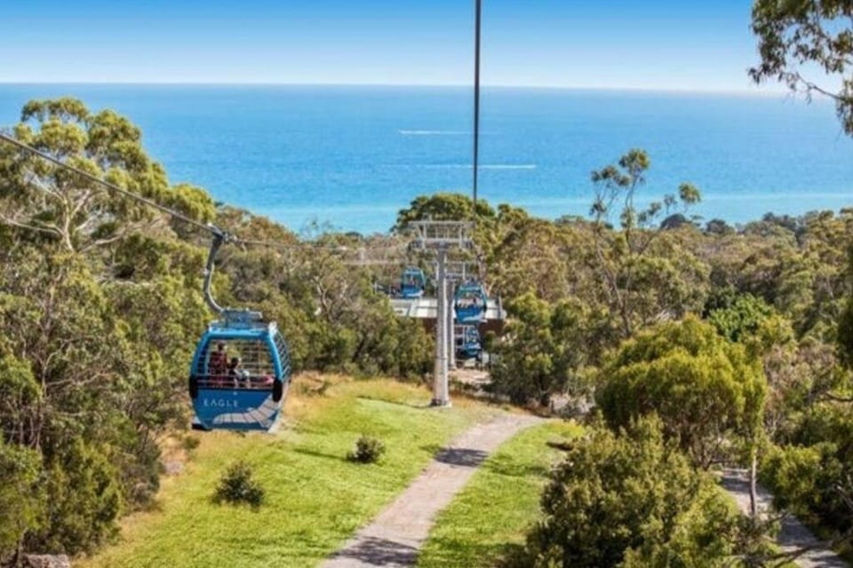 Set amongst the treetops of Arthurs Seat House in Dromana