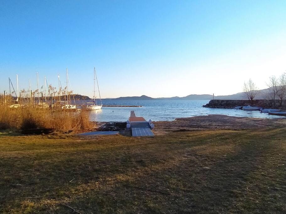 Lake view