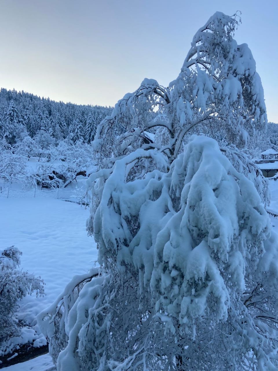 Natural landscape, Winter