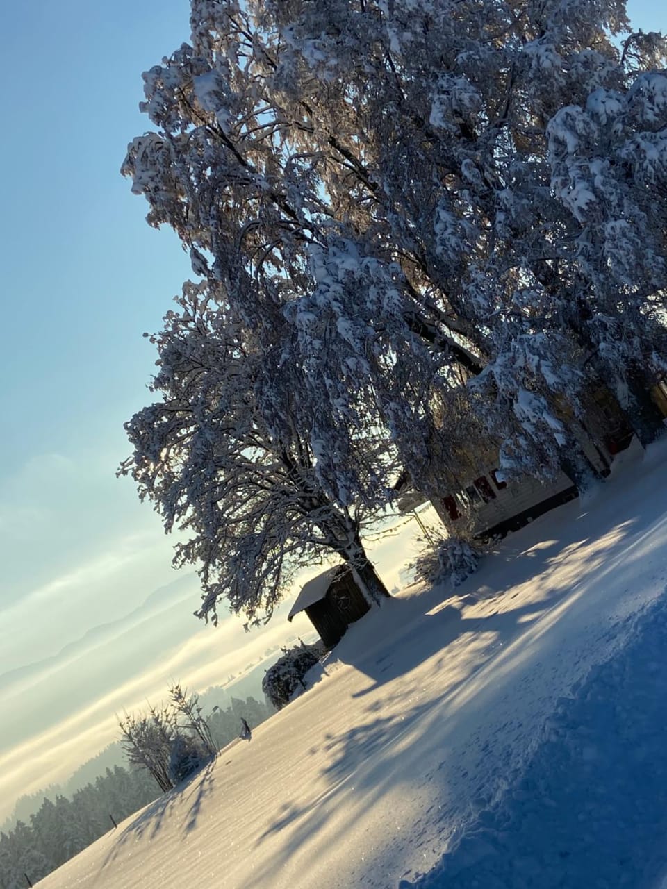 Natural landscape, Winter