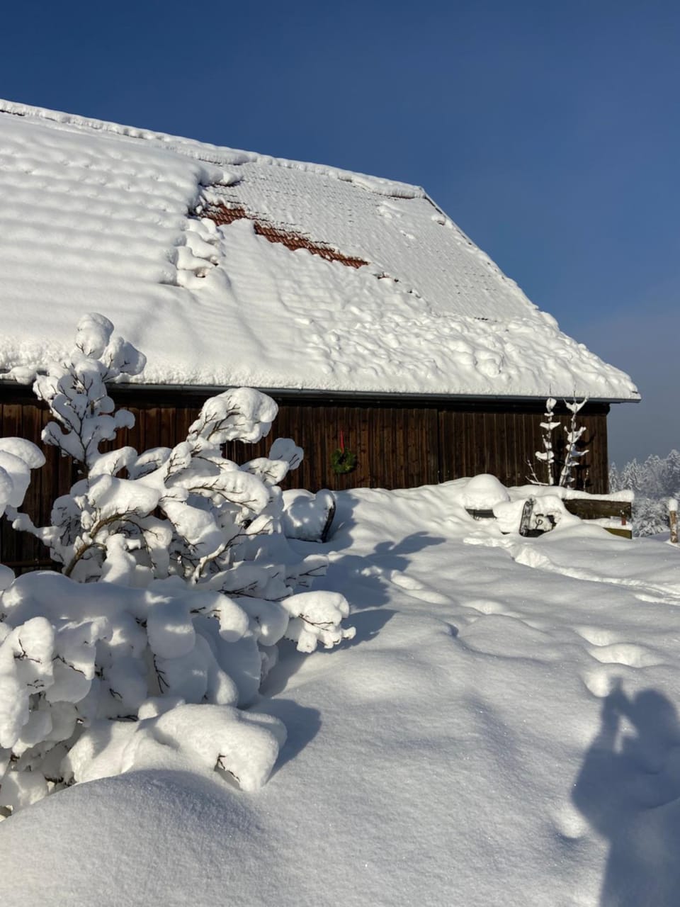 Natural landscape, Winter