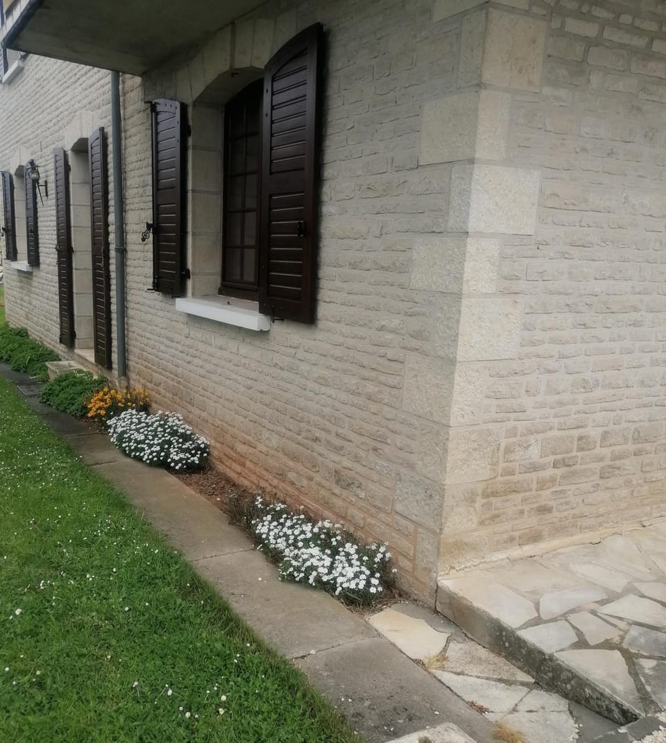 Garden, Garden view