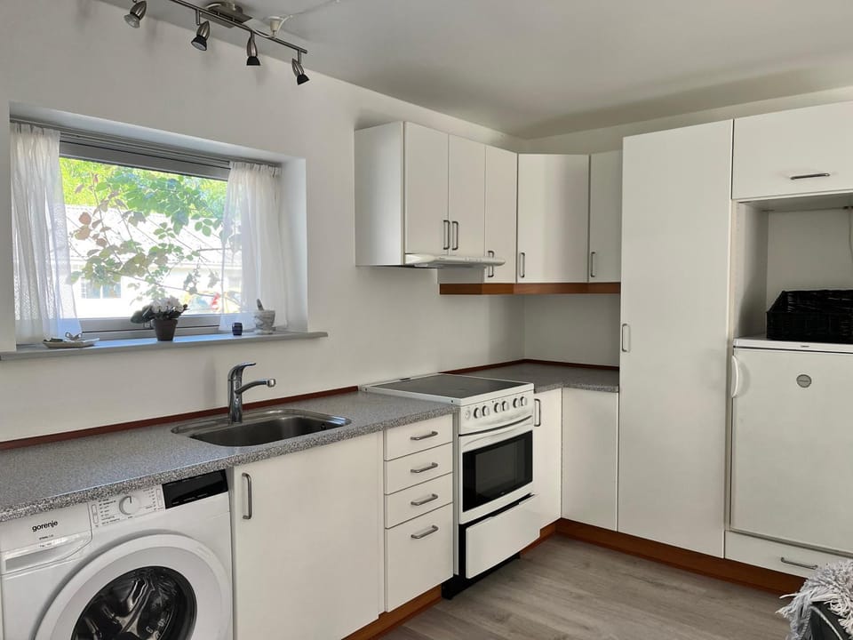 Kitchen or kitchenette, kitchen