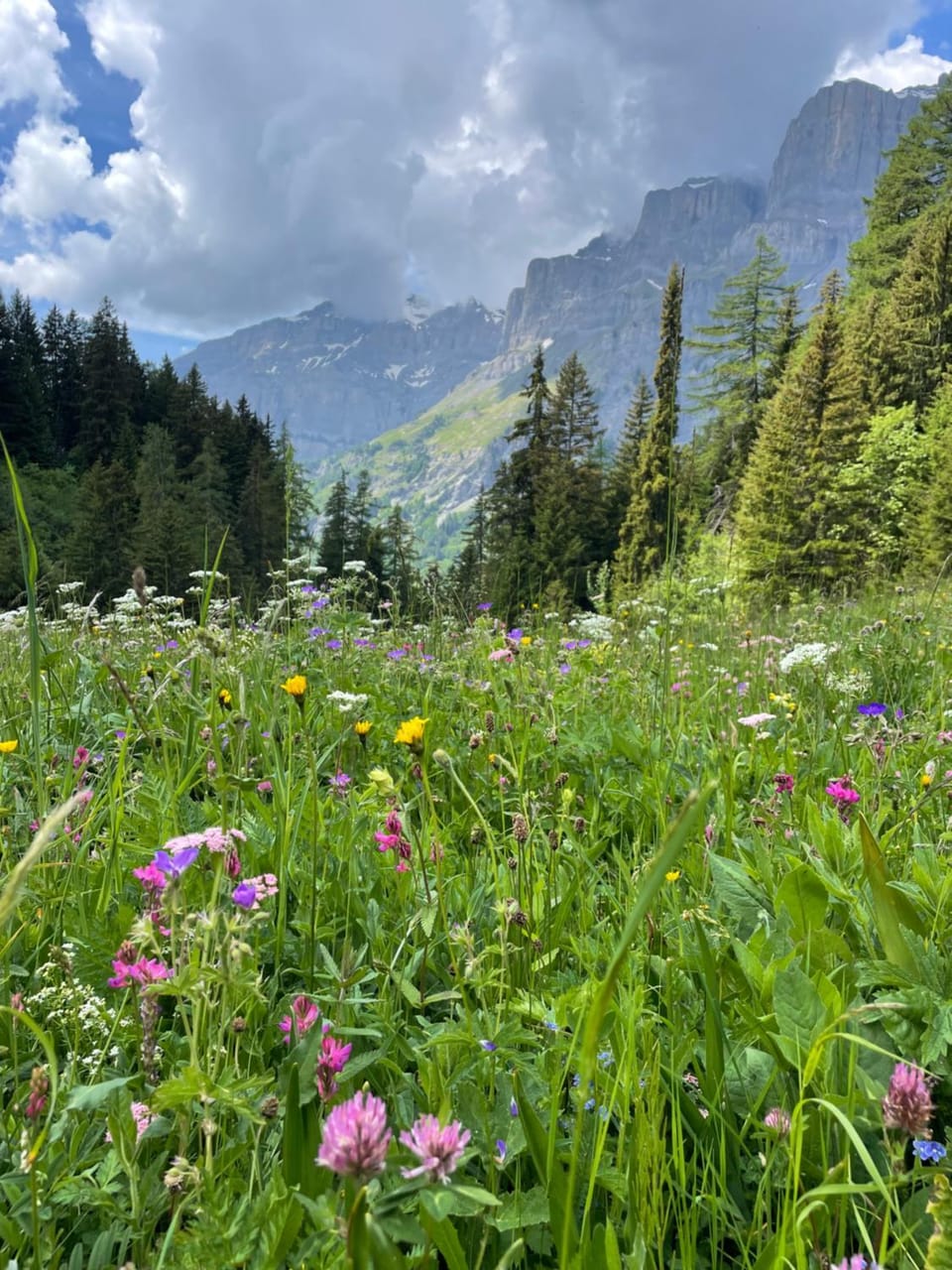 Ideally located 3.5 rooms flat Apartment in Canton of Valais