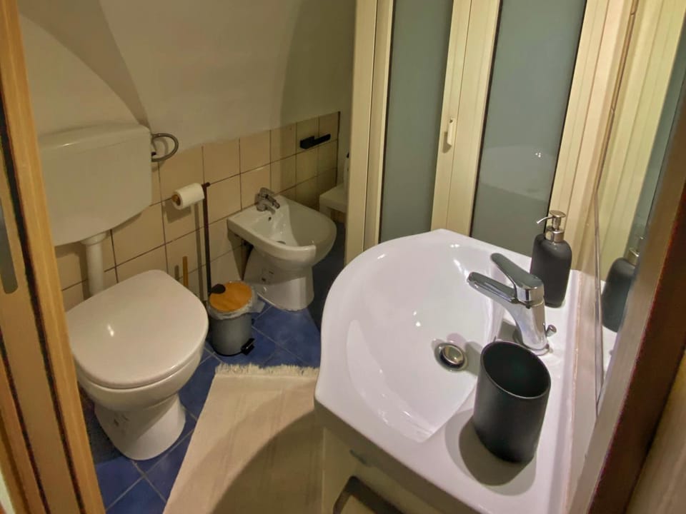 Shower, Toilet, Bathroom, bidet, flat iron, hair dryier