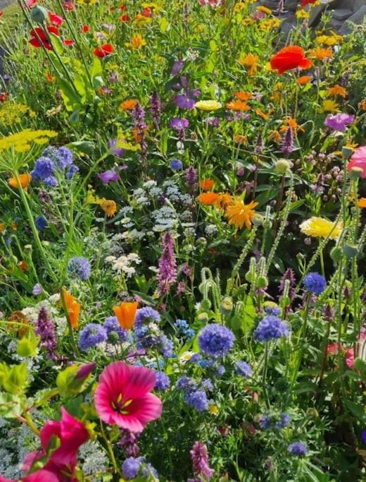 Castle View Rooms Vacation rental in County Clare