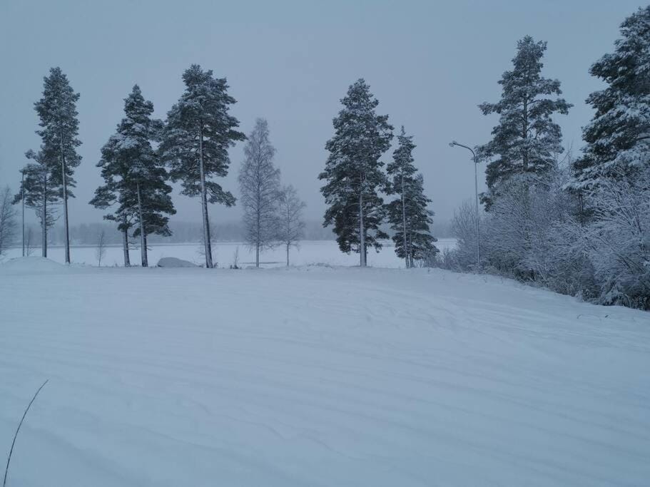 Winter
