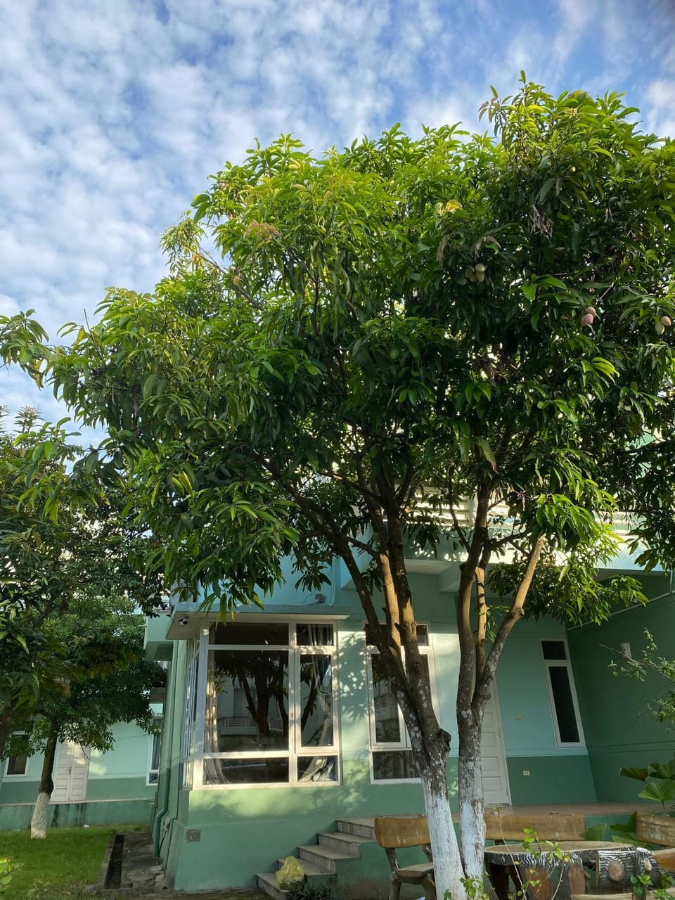 Villa 108, 303 - Eureka Linh Trường Villa in Laos