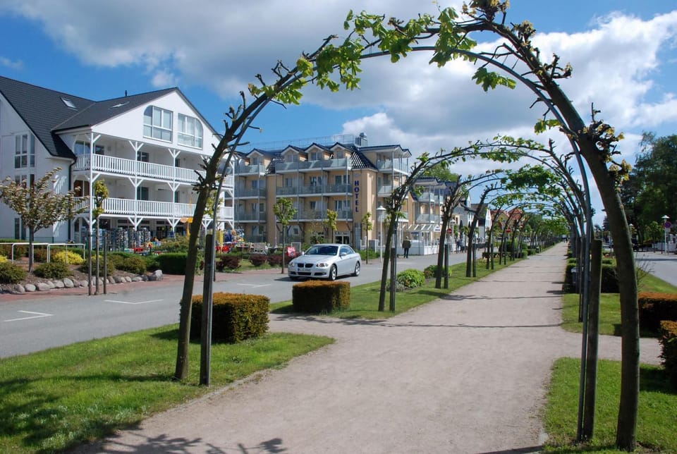 Area and facilities