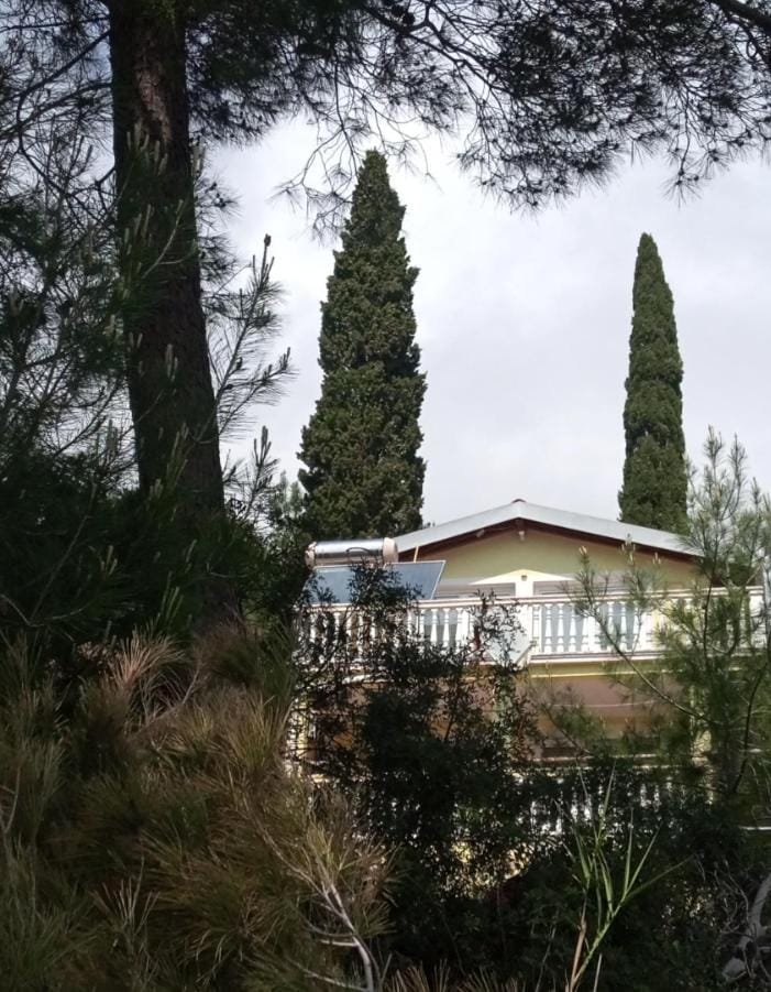 Гостевой дом Polina Bed and Breakfast in Montenegro