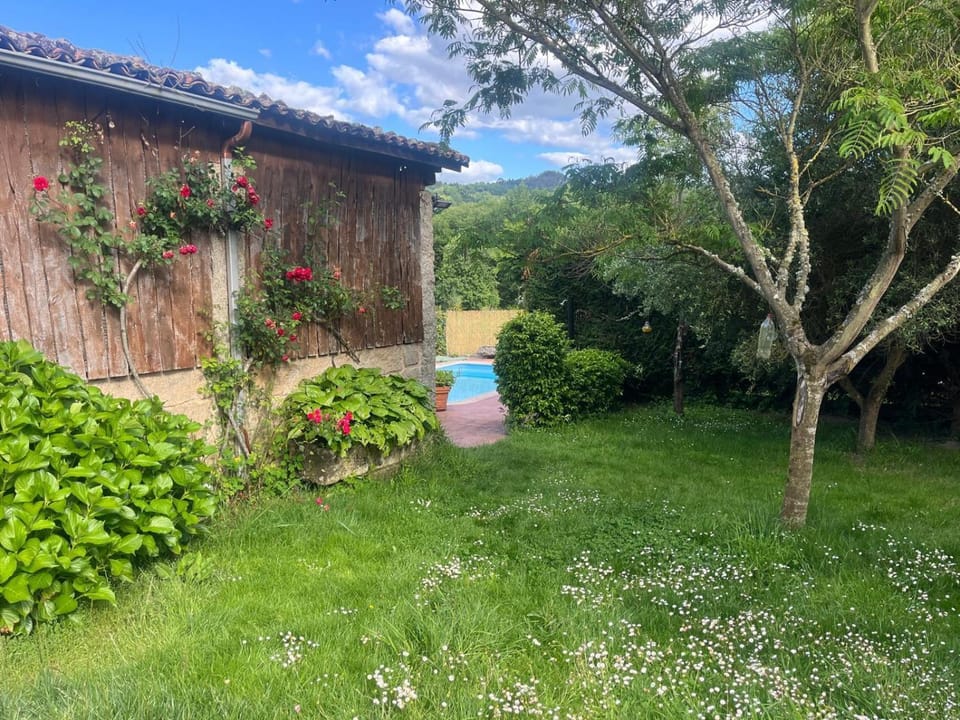 Natural landscape, Garden, Garden view