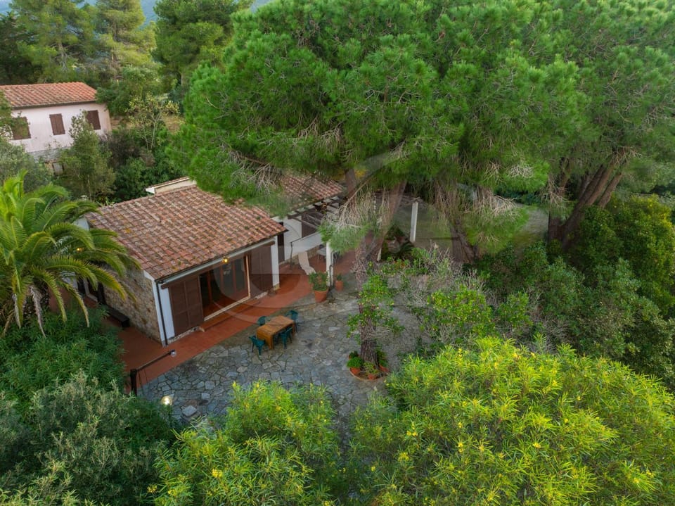 Natural landscape, Garden