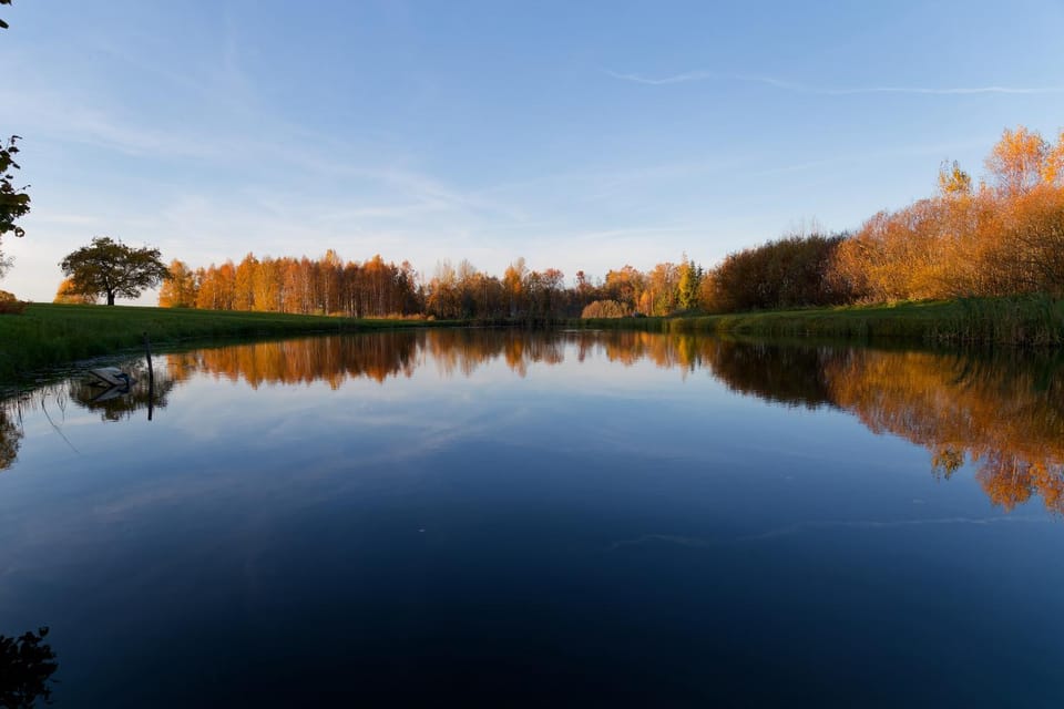 Natural landscape