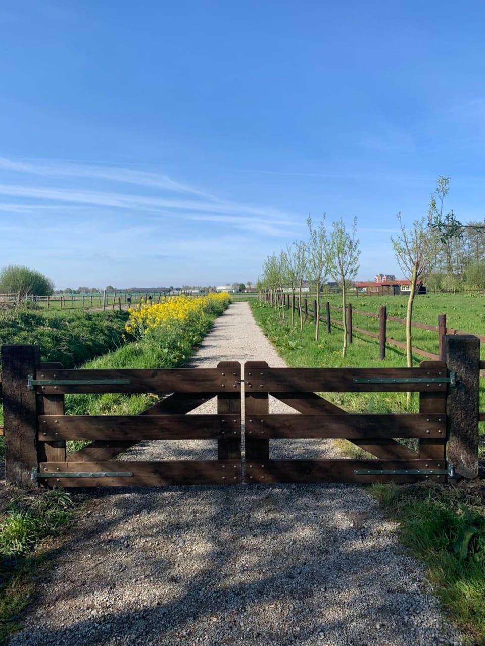 Spring, Day, Natural landscape