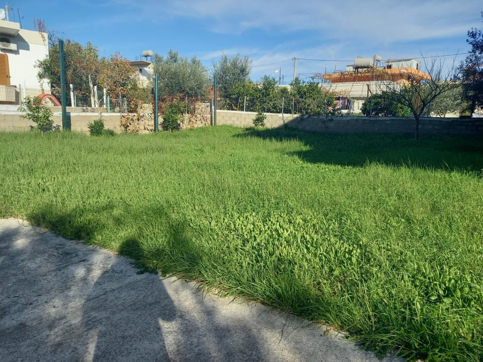 Natural landscape, Garden