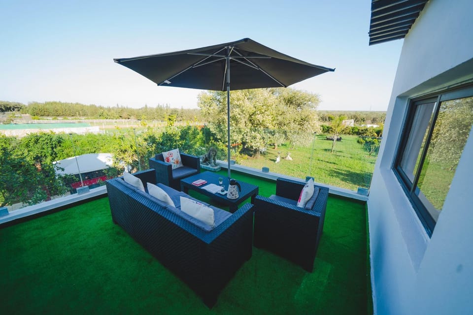 Patio, Natural landscape, Balcony/Terrace, Garden view