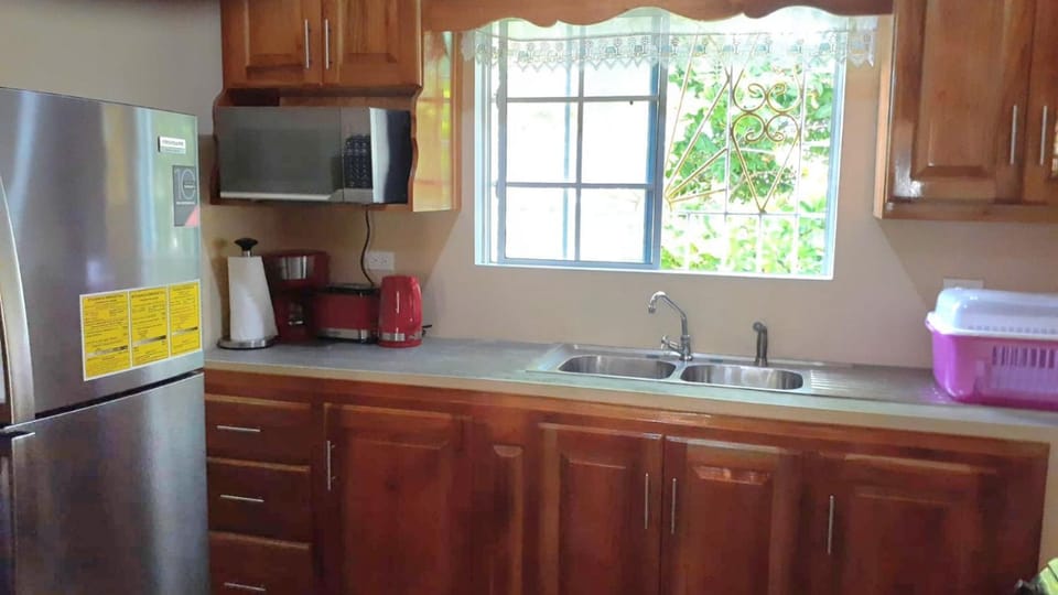 Mango tree Oasis Villa in Treasure Beach