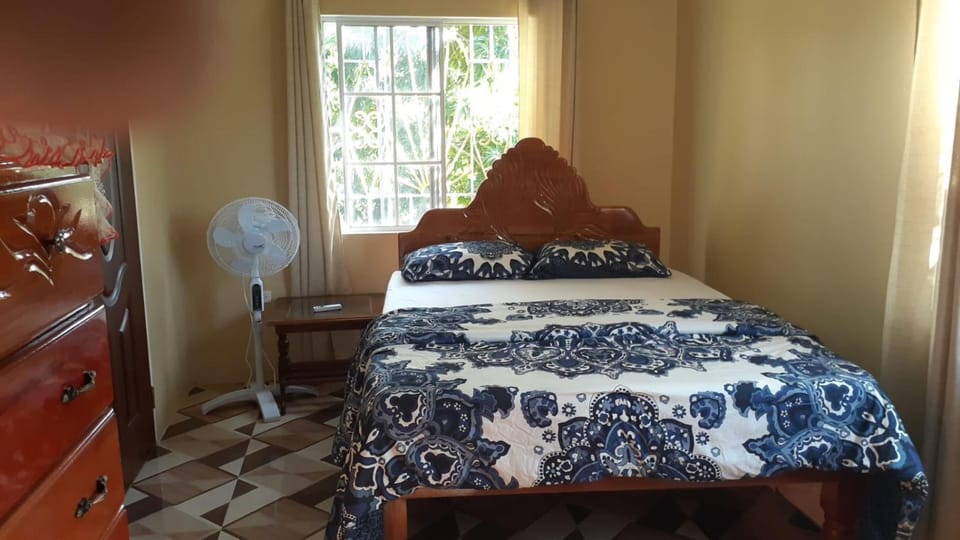 Mango tree Oasis Villa in Treasure Beach
