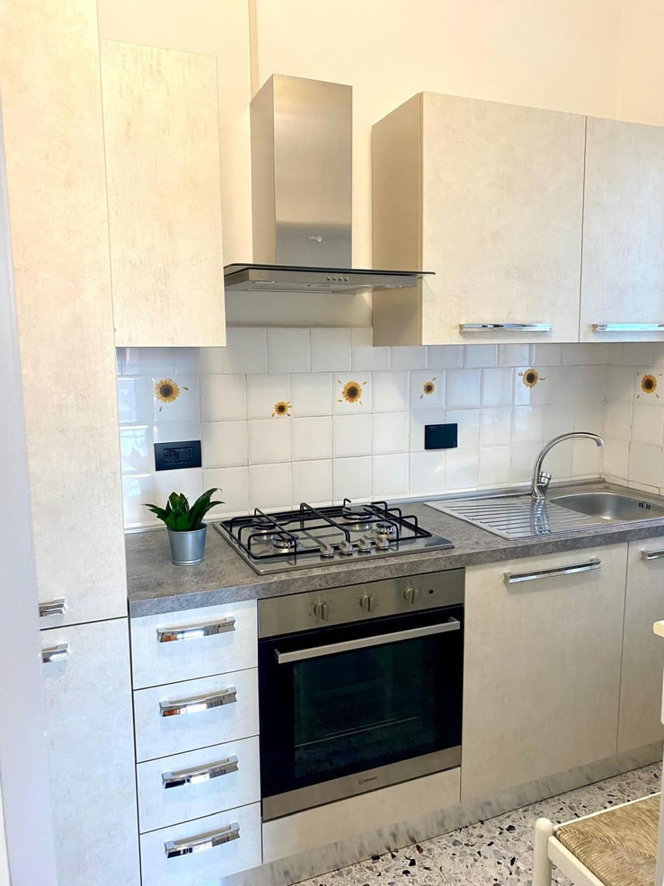 Kitchen or kitchenette, dishwasher, stove