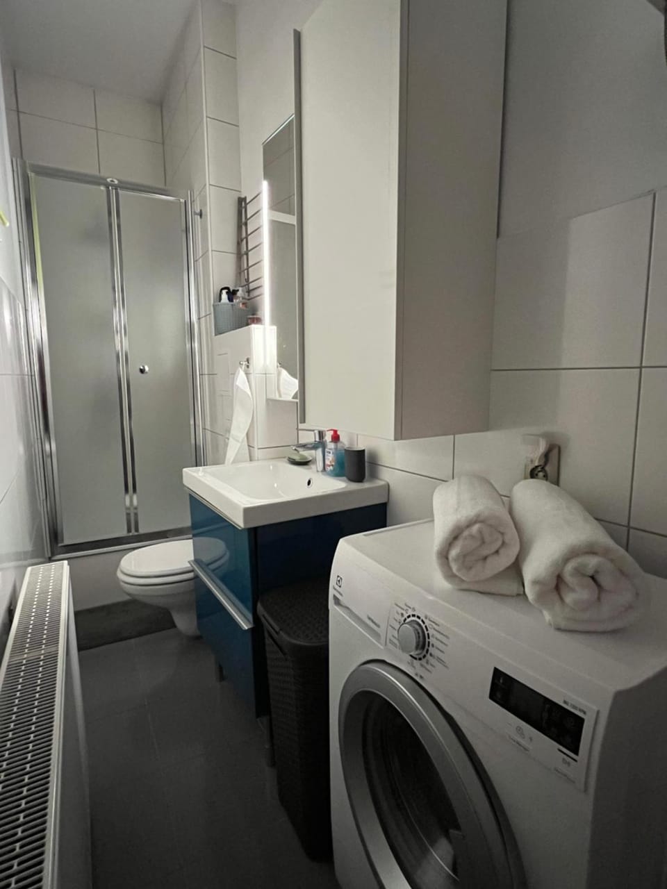 Toilet, Bathroom, heating, wardrobe, washing machine, dryer