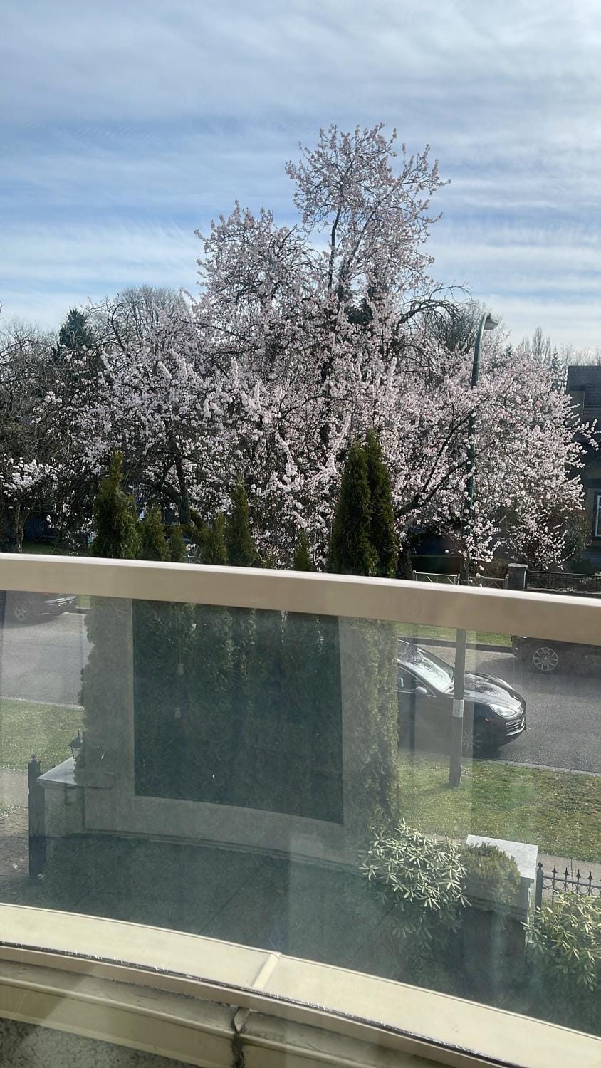 Property building, Spring, Natural landscape