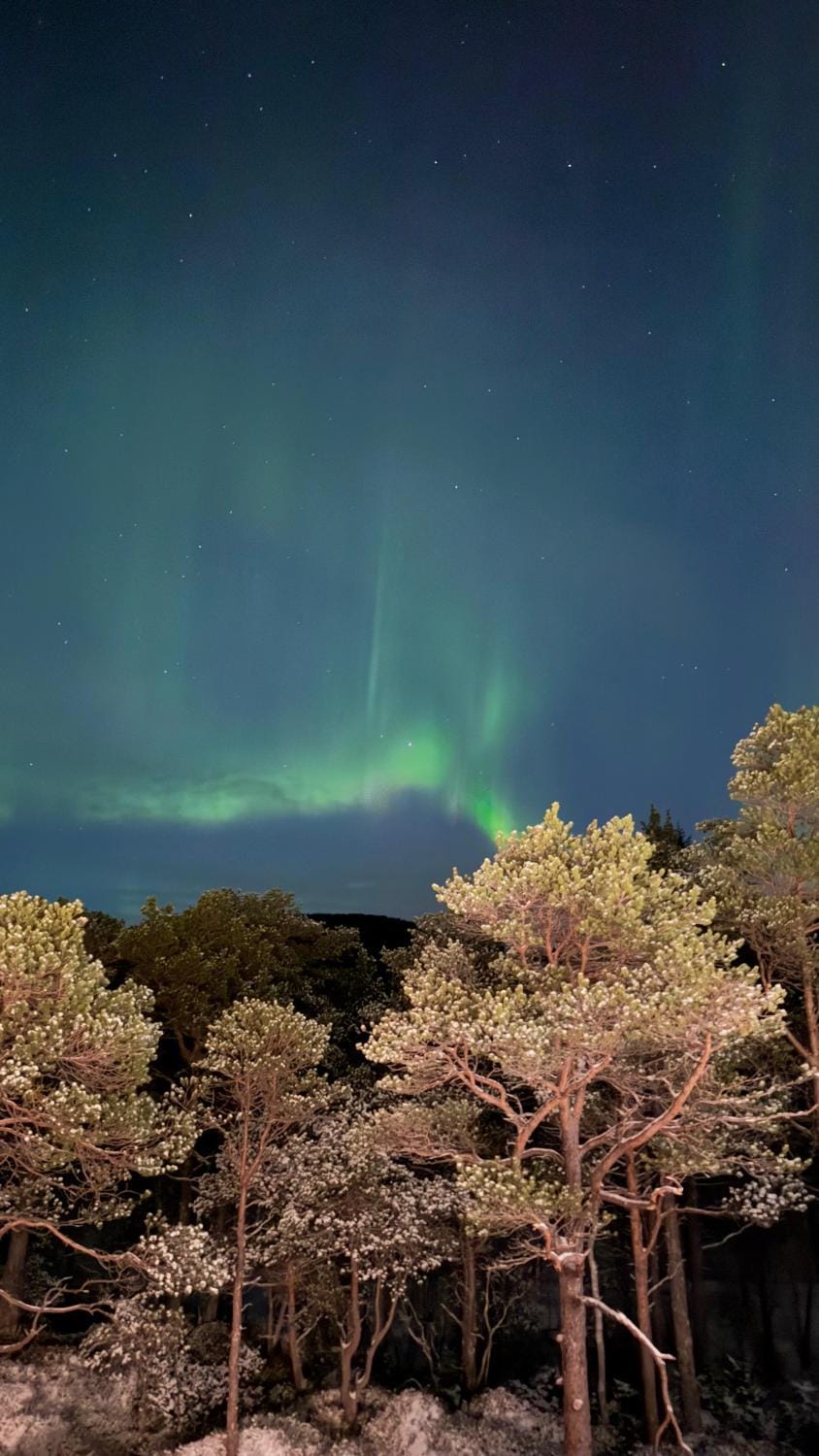 Night, Natural landscape