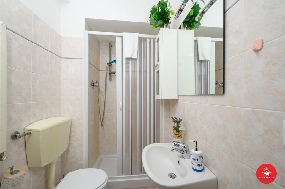 Shower, Toilet, Bathroom, bidet, towels