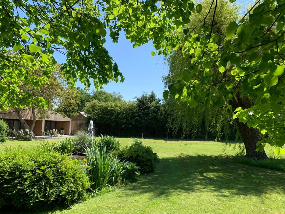 Property building, Garden, Garden view