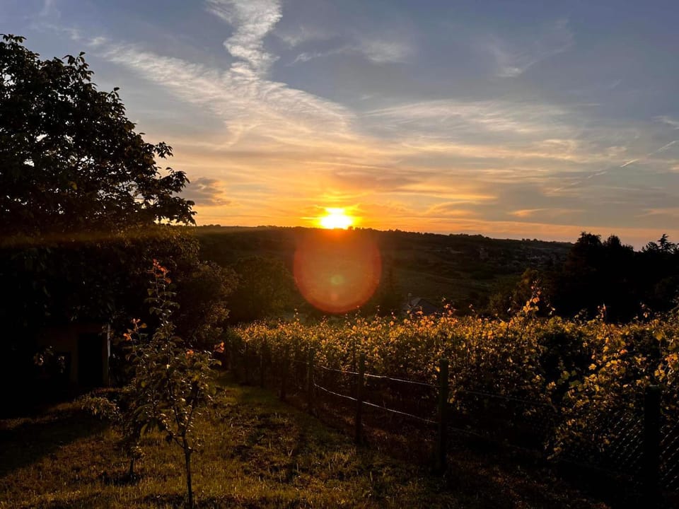 Natural landscape, Sunset