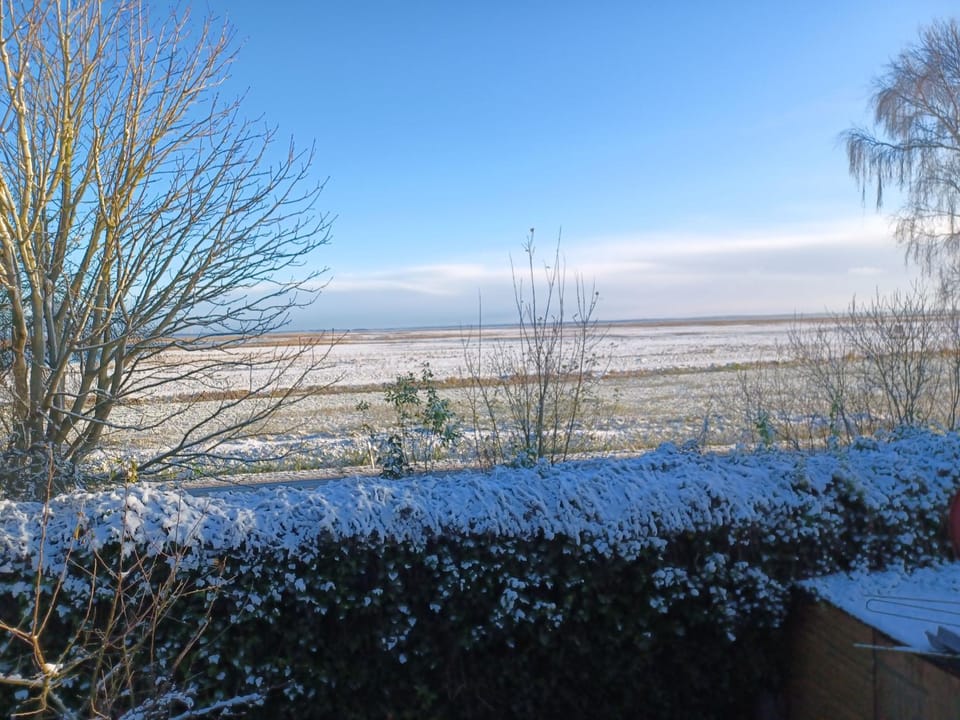 Natural landscape, Winter