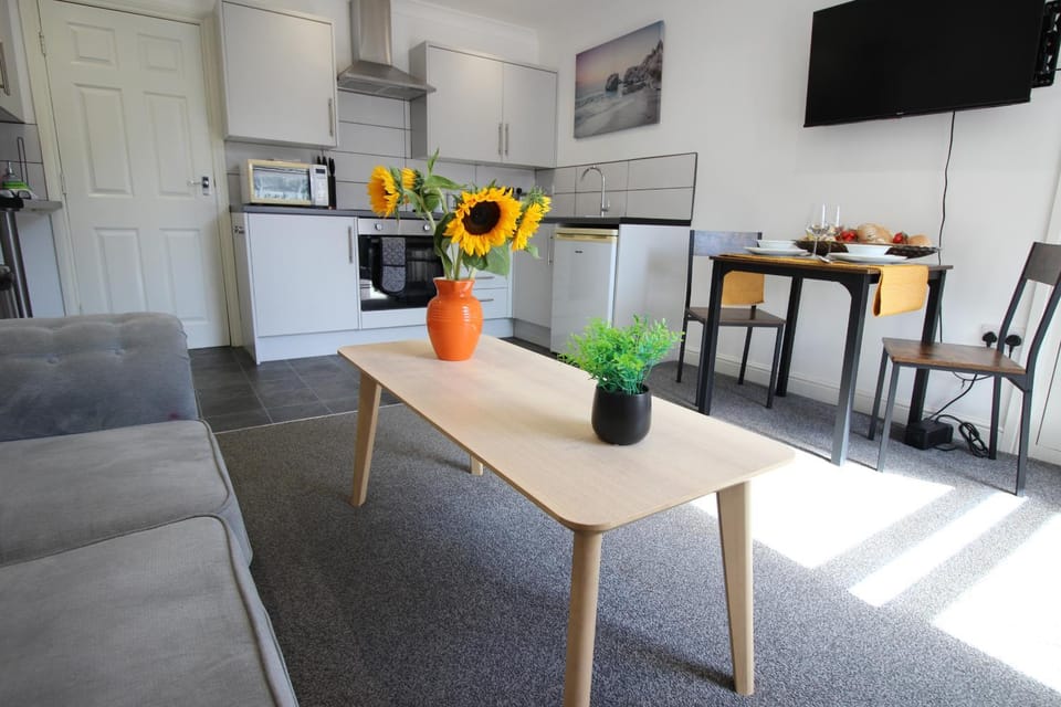 TV and multimedia, Kitchen or kitchenette, Living room, Seating area, Dining area, Evening entertainment, oven, pet friendly, stove