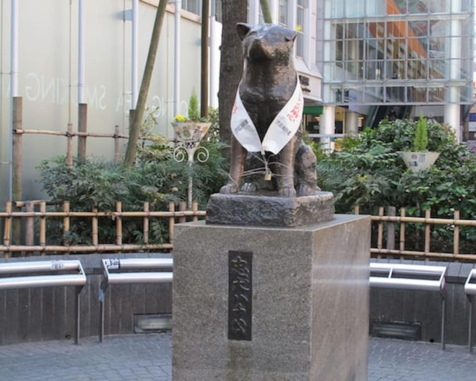 10 minutes direct to Shibuya Crossing! Heart of Tokyo! Mishuku Apartment in Shibuya
