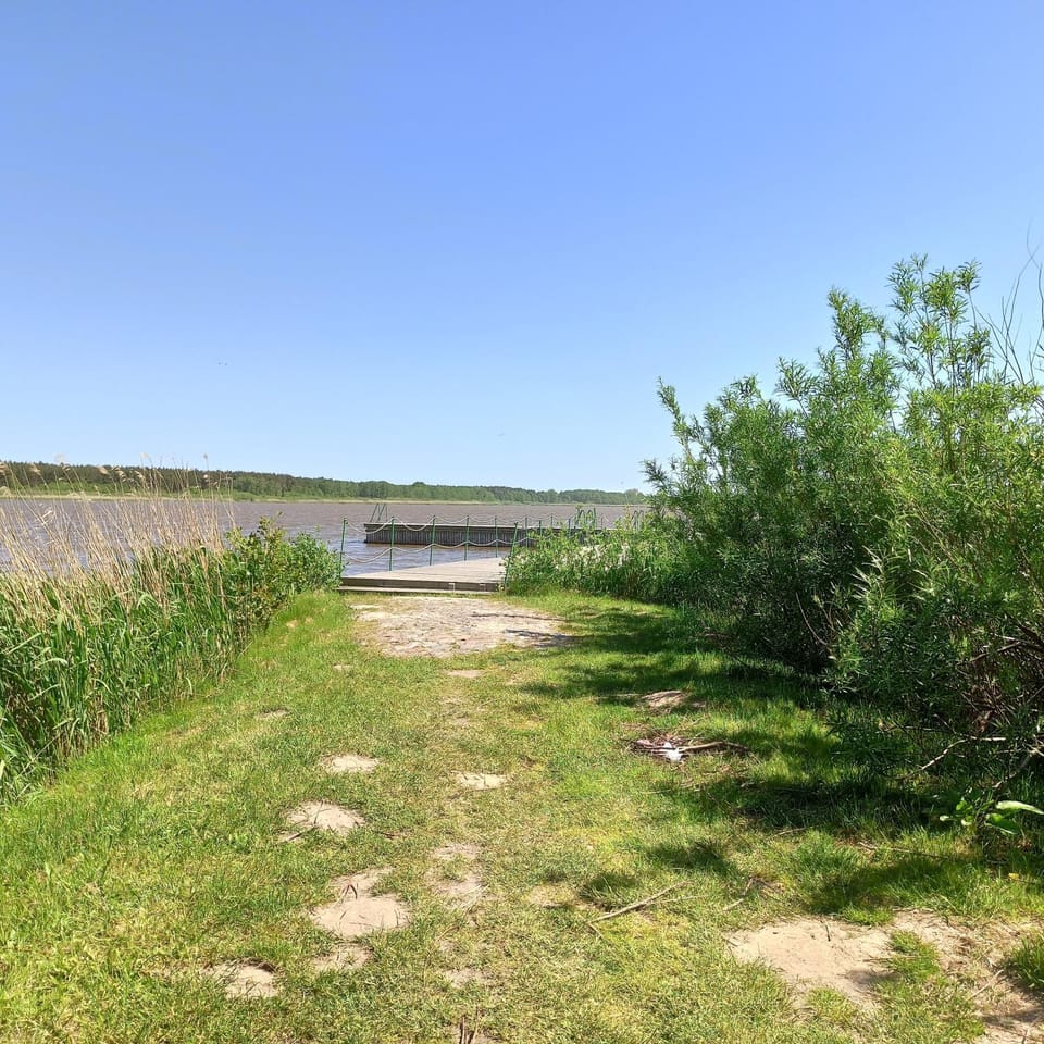 Lake view