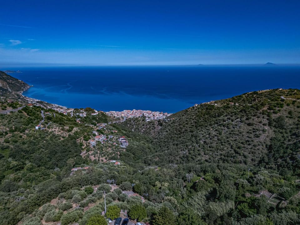Natural landscape