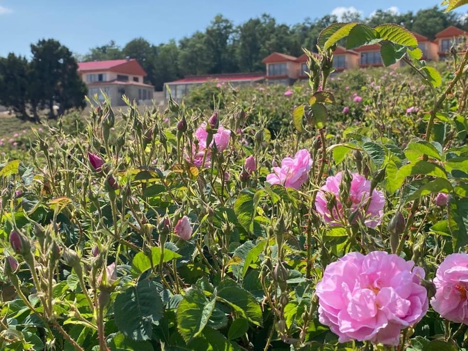 La Vie En Rose Hotel by Sogutdagi Isparta Hotel in Turkey