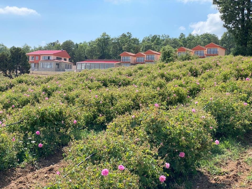 La Vie En Rose Hotel by Sogutdagi Isparta Hotel in Turkey