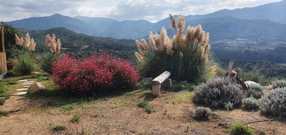 Vue de rêve Apartment in Corsica