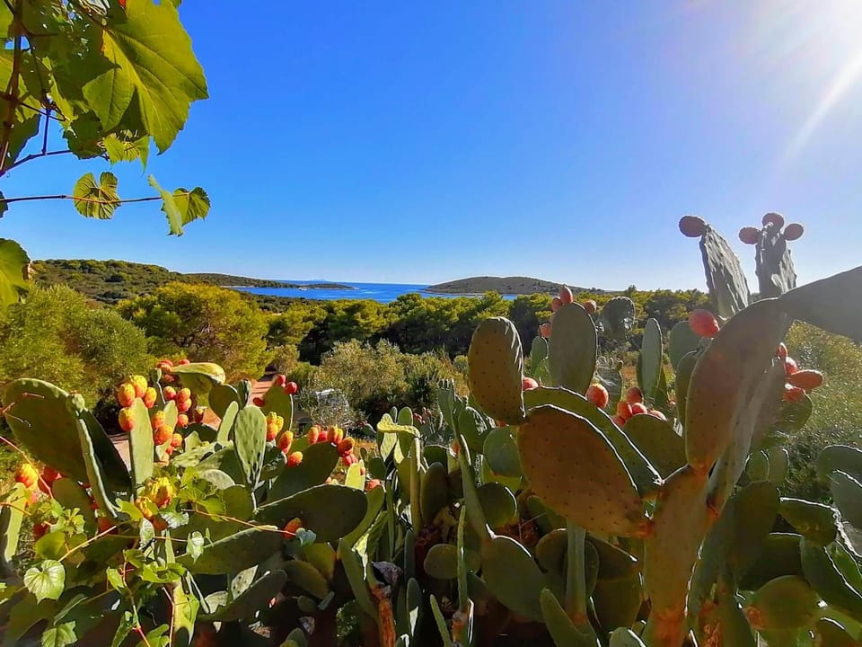 Natural landscape, Summer, Other, Sea view