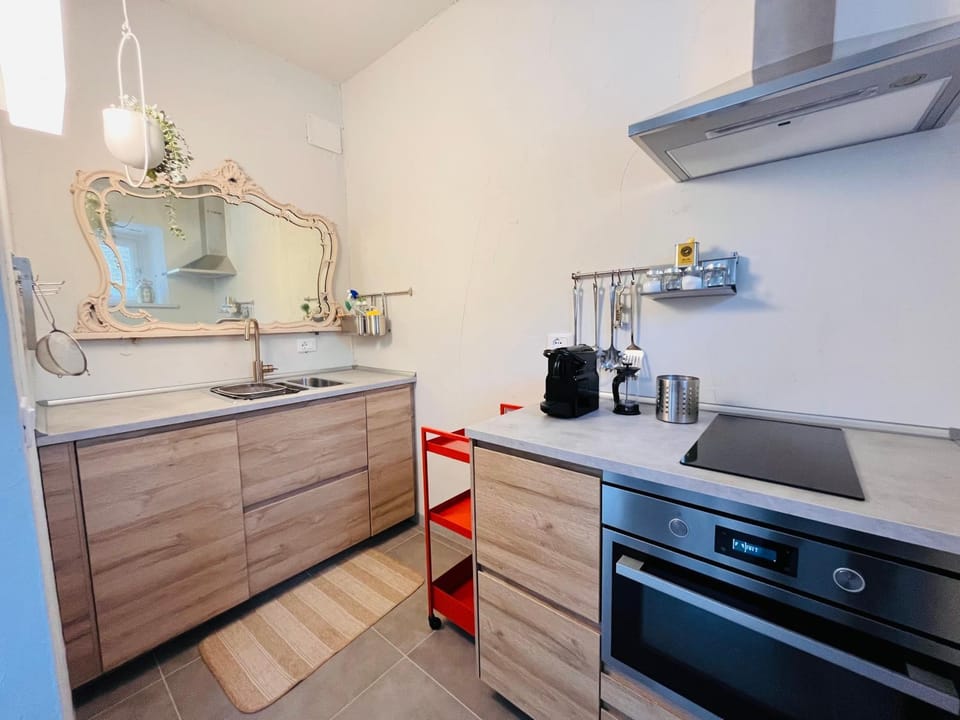 Kitchen or kitchenette, dishwasher, minibar, pet friendly, stove