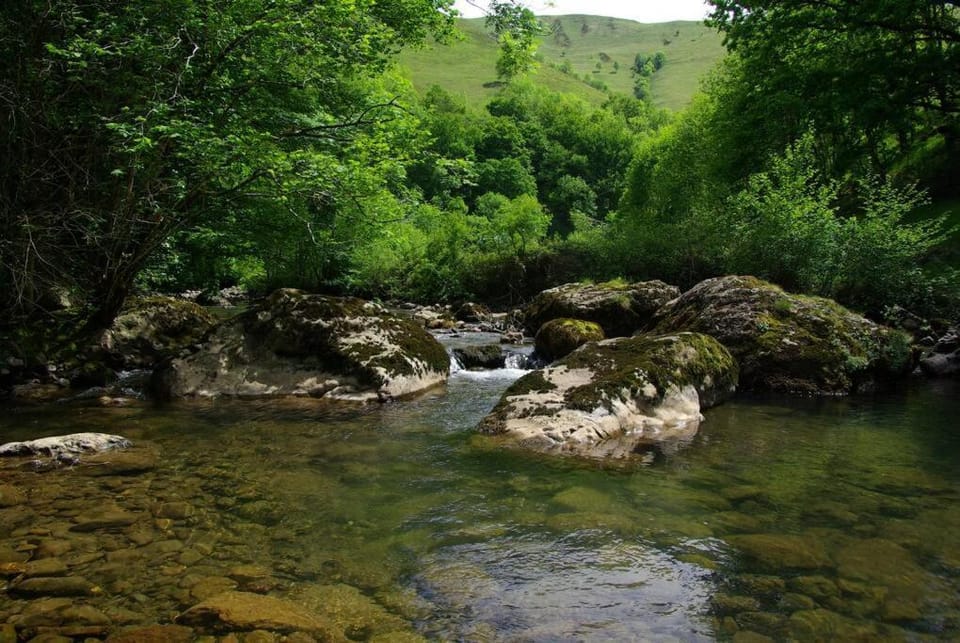 Maison de charme Nature et Rivière au pays basque Villa in French Basque Country