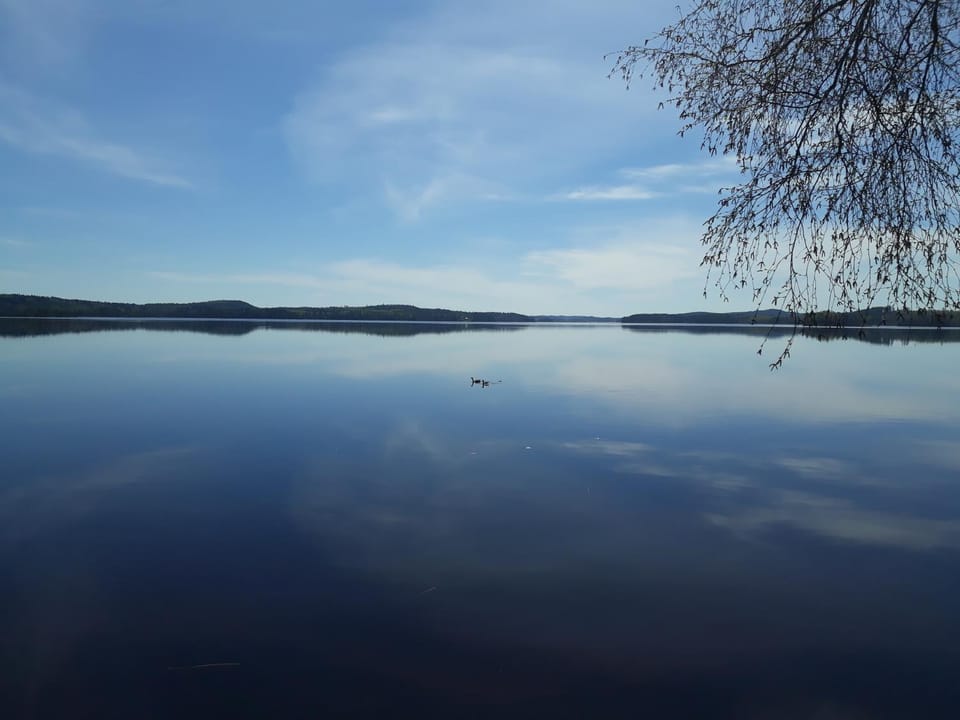 Natural landscape