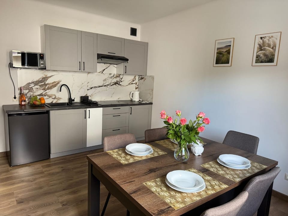 Kitchen or kitchenette, Dining area, oven, stove