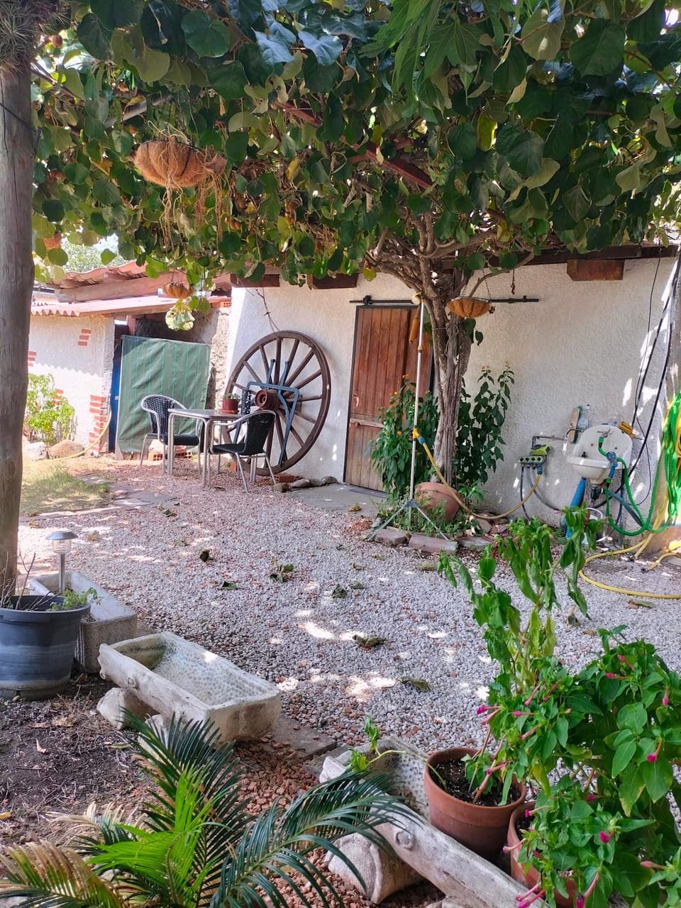 Garden view