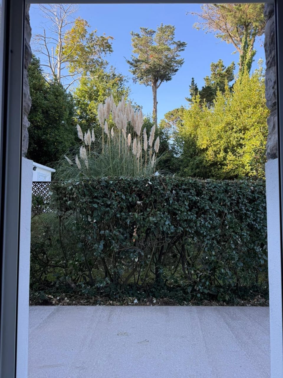 Garden view